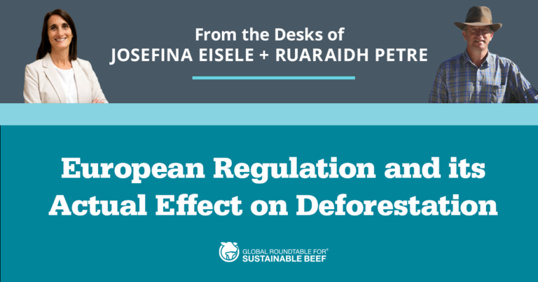 European Regulation And Its Actual Effect On Deforestation - Global ...